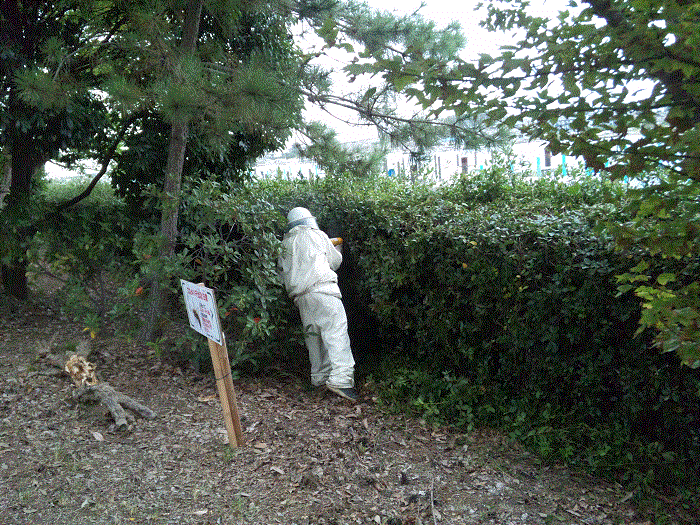 ハチの巣作業2 サカモトサービス